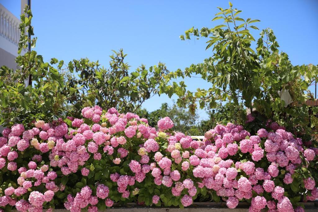 Guest House Narta Vlorë 외부 사진