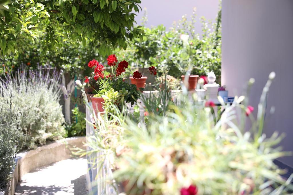 Guest House Narta Vlorë 외부 사진